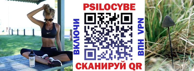 Псилоцибиновые грибы Cubensis  Сочи 
