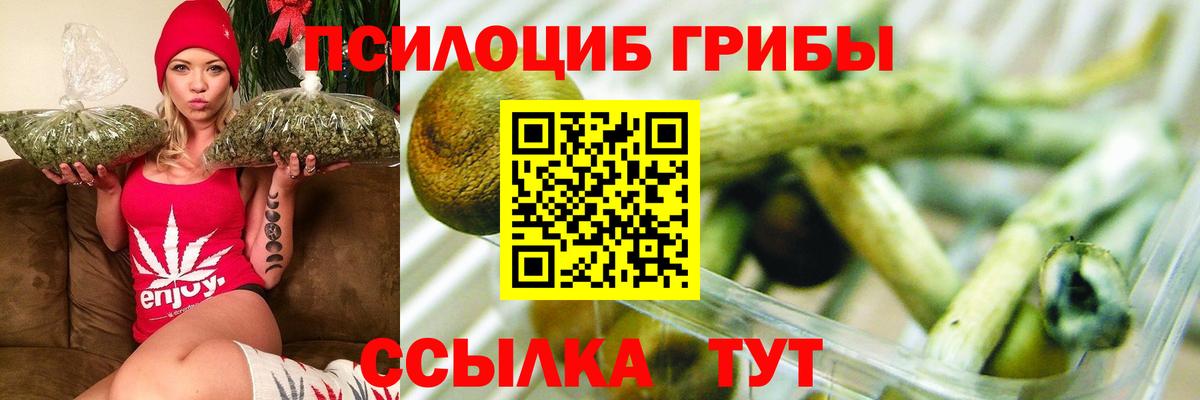 Галлюциногенные грибы Psilocybe  Псилоцибиновые грибы GOLDEN TEACHER  Сочи  Вход с VPN 